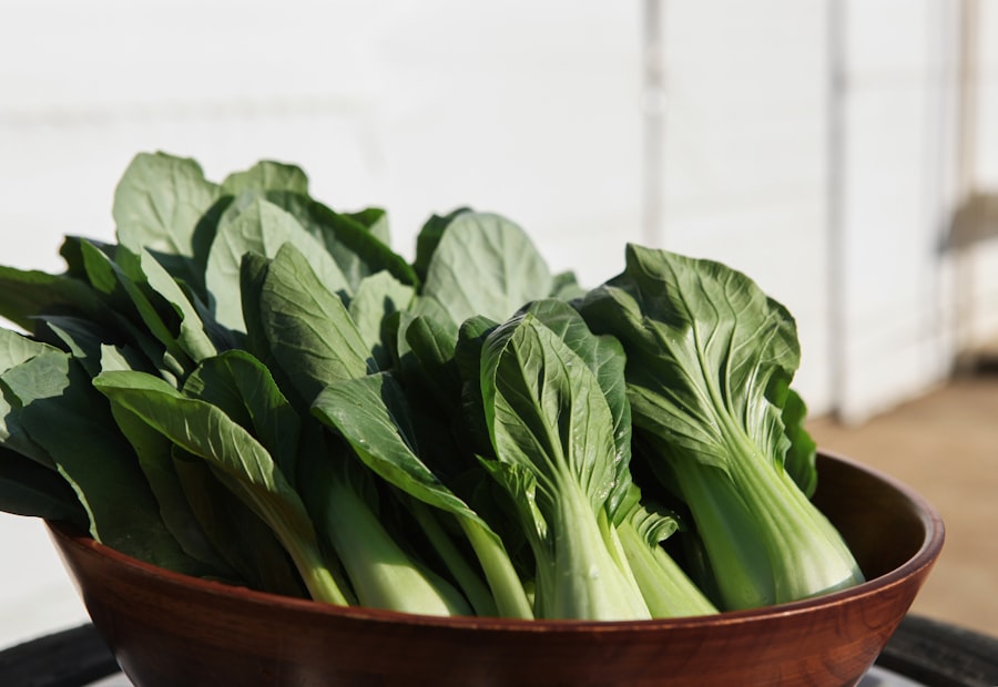 Bok choy Asian greens