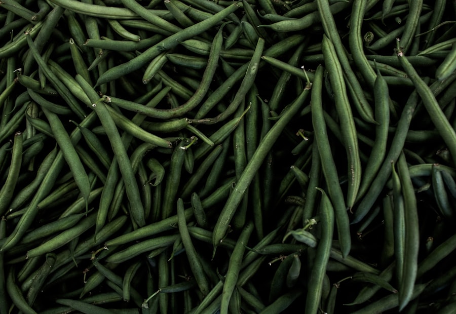 Fresh green beans