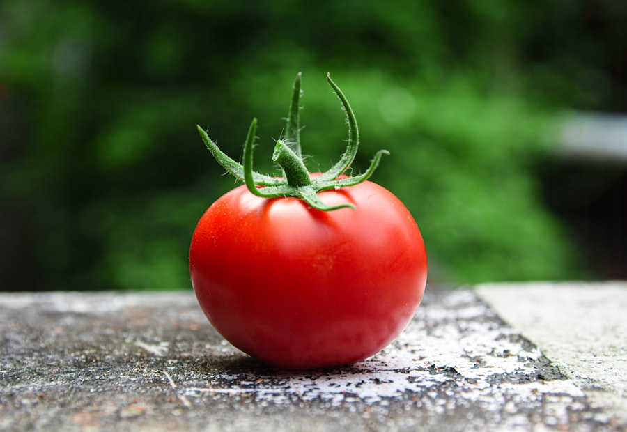 Ripe tomatoes on the vine